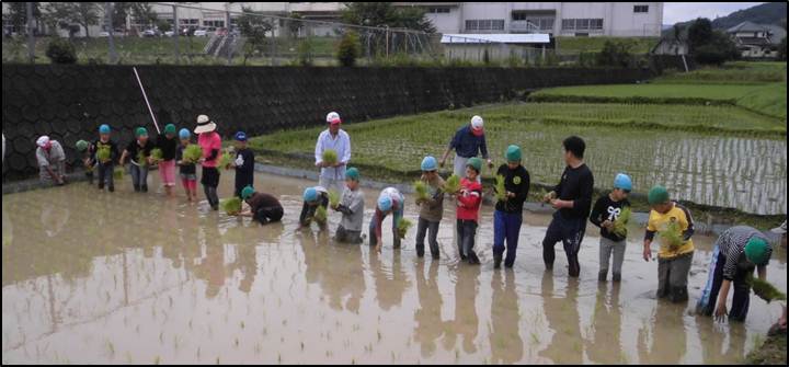 田植え体験.jpg