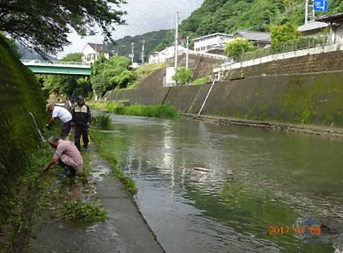 遊歩道の美化活動画像