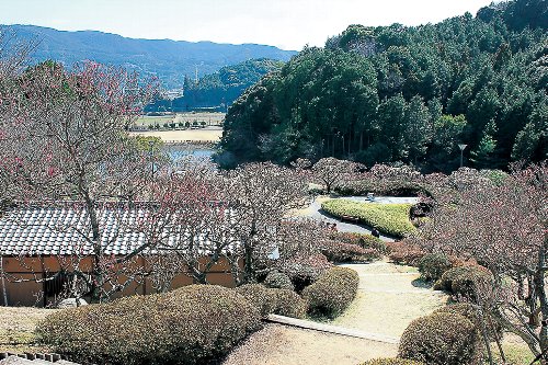 みゆき梅林園